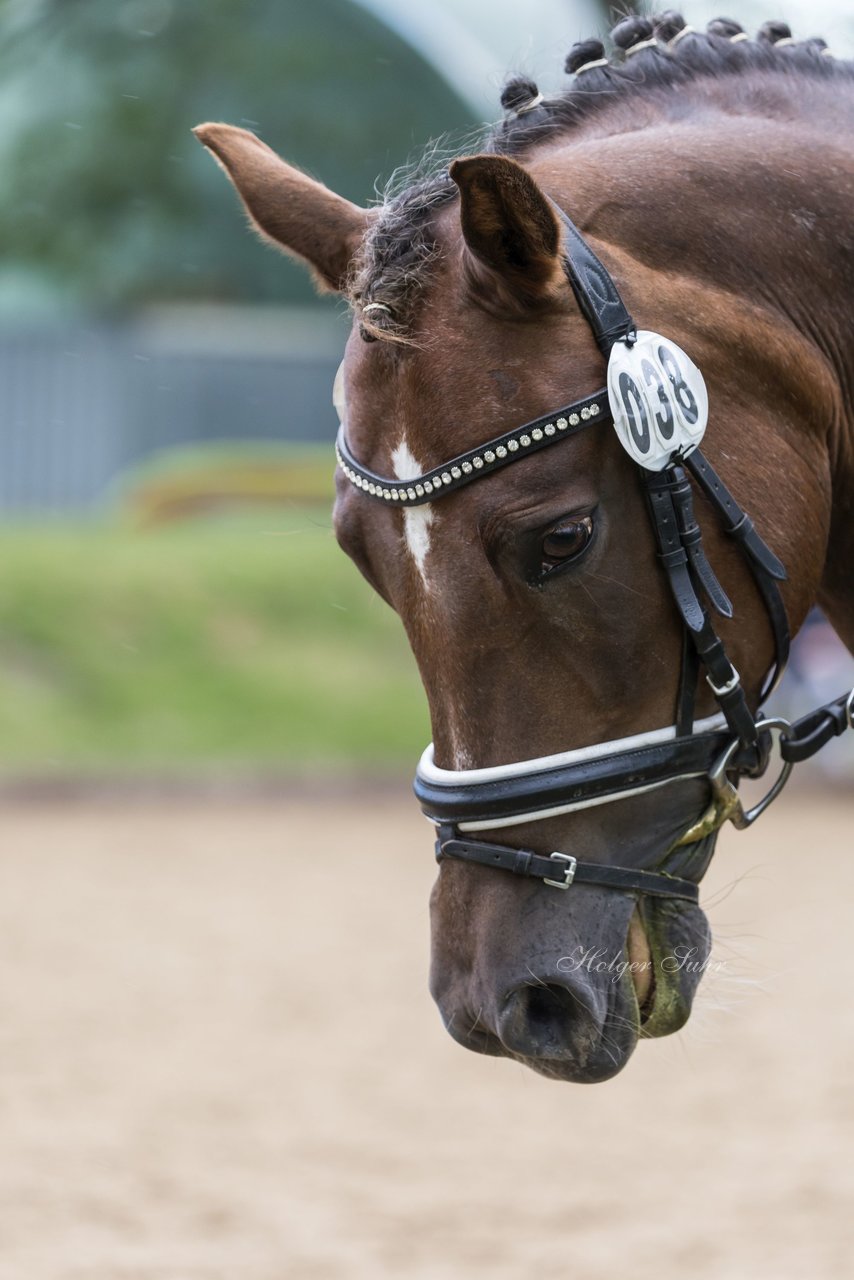 Bild 603 - Pony Akademie Turnier